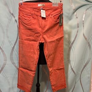 Orvis Kut from the Kloth Women's cropped straight leg Jeans color is REDCL